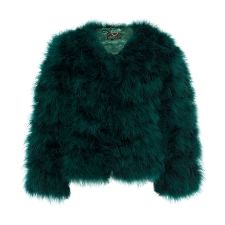 Chapter 3: Feather Jacket Emerald