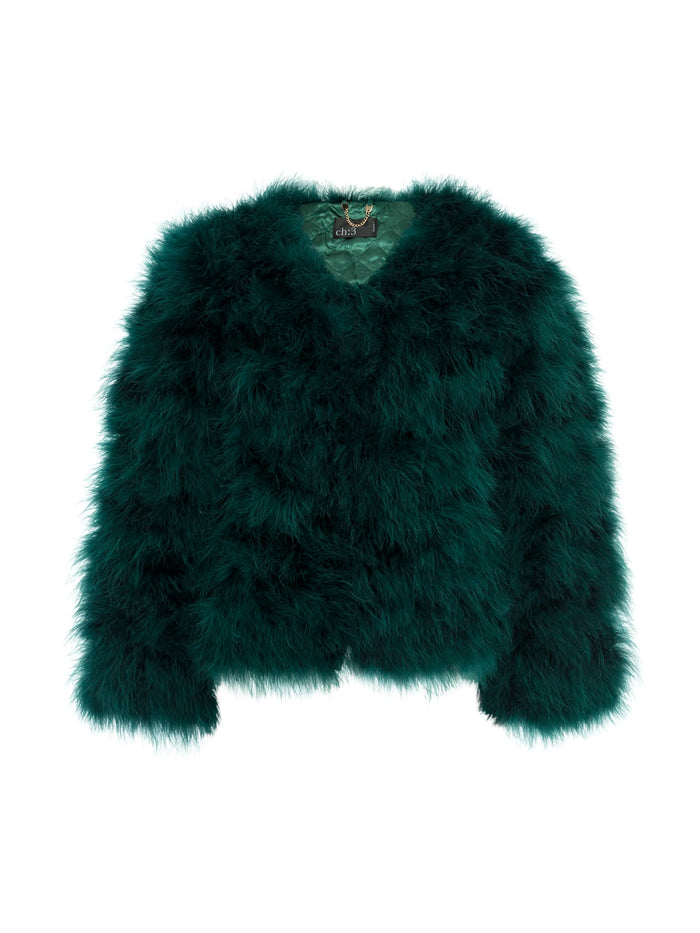 Chapter 3: Feather Jacket Emerald